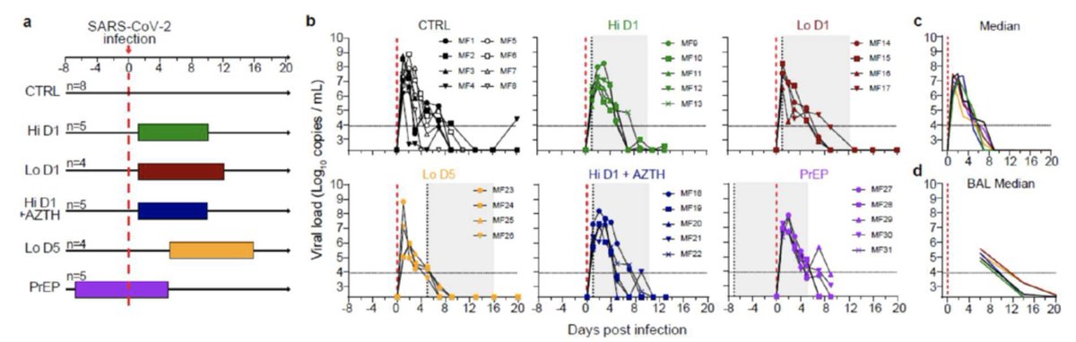 5/ Effet antiviral in vivo inexistant, pourtant à forte dose, en prophylaxie, en ttt précoce ou tardif, démontré sur des macaques en France et aux États-Unis. Quand cela ne marche pas sur macaque, cela ne marche pas chez homme. https://www.researchsquare.com/article/rs-27223/v1 https://www.biorxiv.org/content/10.1101/2020.06.10.145144v1