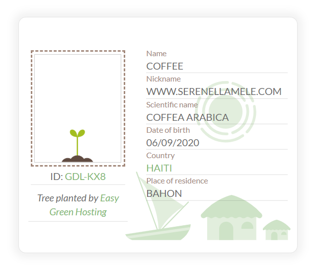 easygreenhost's tweet image. We assigned the first #tree !! :D Thank you serenellamele.com, it will #grow with you!! 

treedom.net/it/organizatio…
