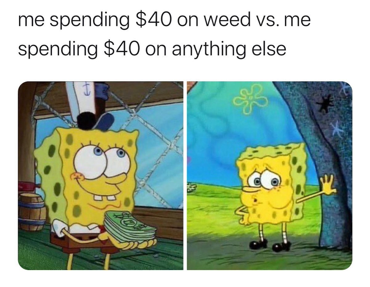 Cannaramic1's tweet photo. Am I the only one? 😂 😂 😂 #Seecannabisdifferent https://t.co/fzjK4quEH6