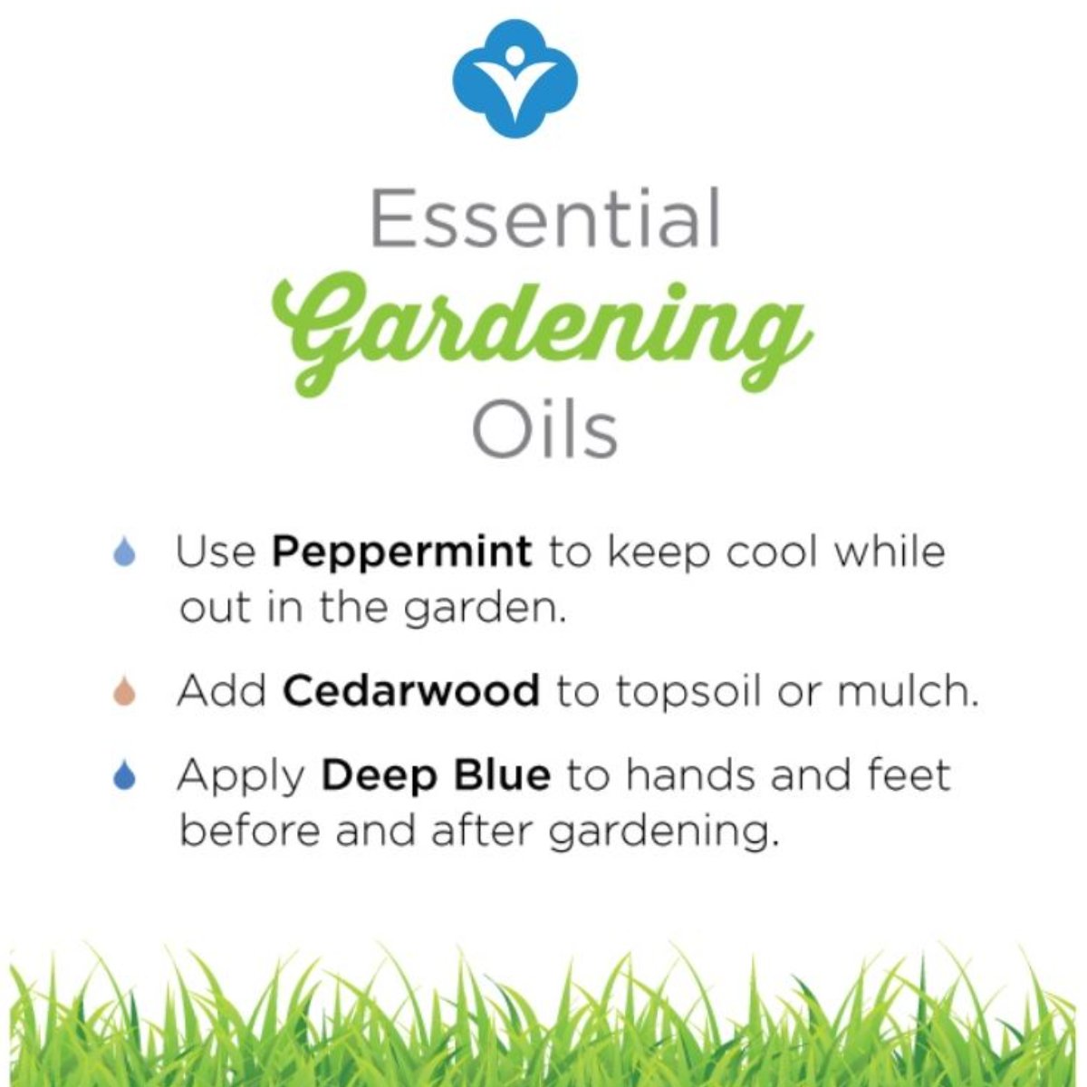 Wellevated's tweet image. Essential oils aren't just for indoor remedies, they're perfect for your garden too. #healthyliving #lifecoach #essentialoils #wellevated #naturalhealthcare #doterra #doterrascience