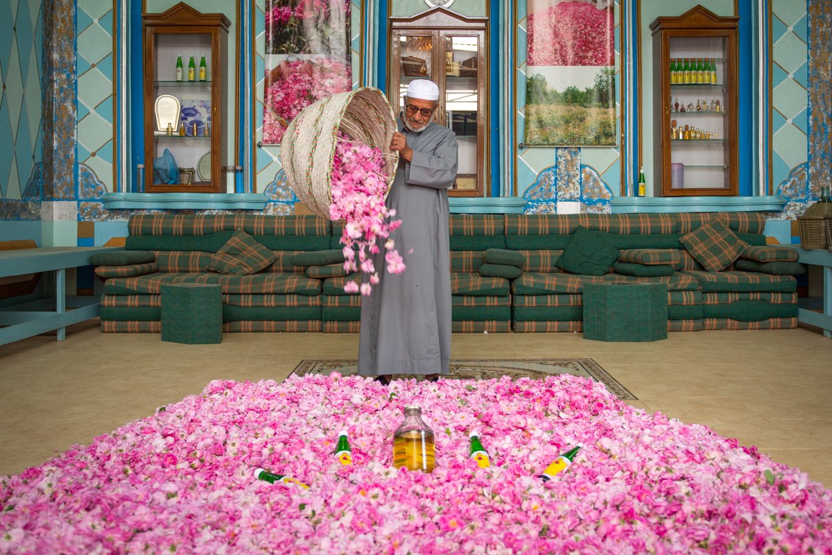 Did you know: Taif has over 900 rose farms, producing more than 300 million flowers each spring. Visit our website to learn more about Saudi's 'City of Roses': bit.ly/2AAr1qj
#Saudi #SaudiCulture #Taif #CityOfRoses