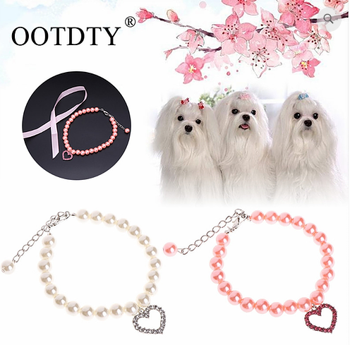 PetzYour's tweet photo. https://t.co/f2uwm8nHcb visit us @yourpamperedpetz.com #dogs #cats #seniorpet #petstore #petsupplies #adoptapet #adoptdontshop #adoptaseniorpet #rescue #rescueaseniorpet #pettraining #petgrooming #adoptapet #nopuppymills #love https://t.co/fILvM099aR