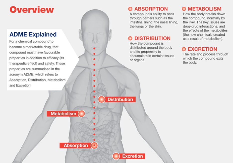 The reason we can't use oral Vancomycin for systemic infections is because of KINETICS! Before we move on, here are 2 infographics to refresh your memory! 7/13 https://www.cyprotex.com/admeguide/introduction/adme-and-pk