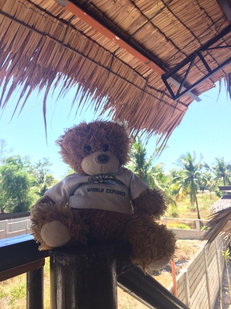 ElwellandBear's tweet photo. Barnaby enjoying the view on the last day of our time in lockdown in the Philippines. What an amazing country! We spent nearly a month on the island of Cebu (26 days in lockdown), but still had some fun times, made some amazing friends and ate tasty food! ๐ต๐ญ#Philippines #sadtogo https://t.co/AnLnwk256q