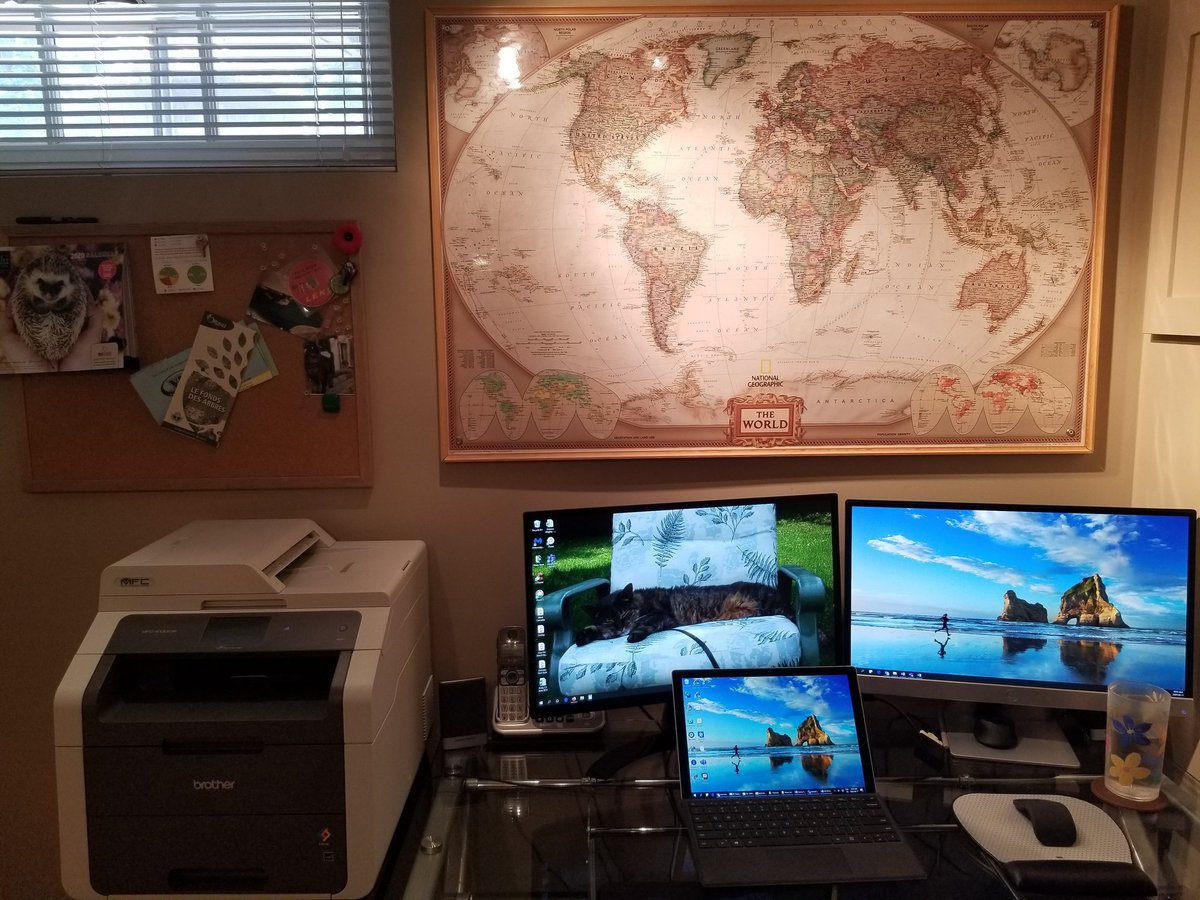 I don't even have 3 monitors at the office but I do with my WFH setup... #EPDOlympDPE #CAPMD_DGEGR