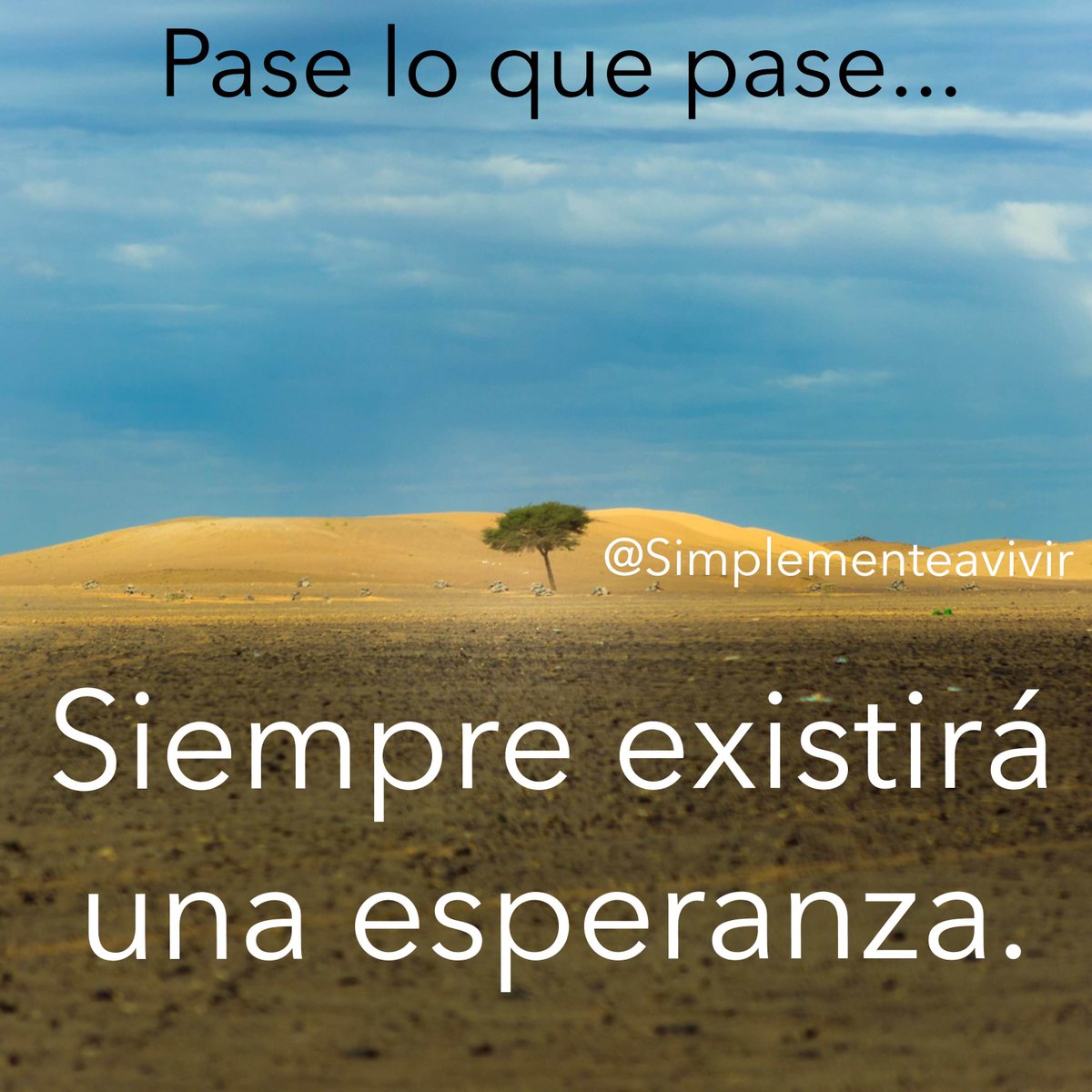 SimplementeaVi1's tweet photo. https://t.co/4vmNQaKduf
#simplementeavivir #motivacion #lifecoach #autoayuda #vida #lifeenjoy #podcast #exito #felicidadatualcance https://t.co/MUgXSQKDFE