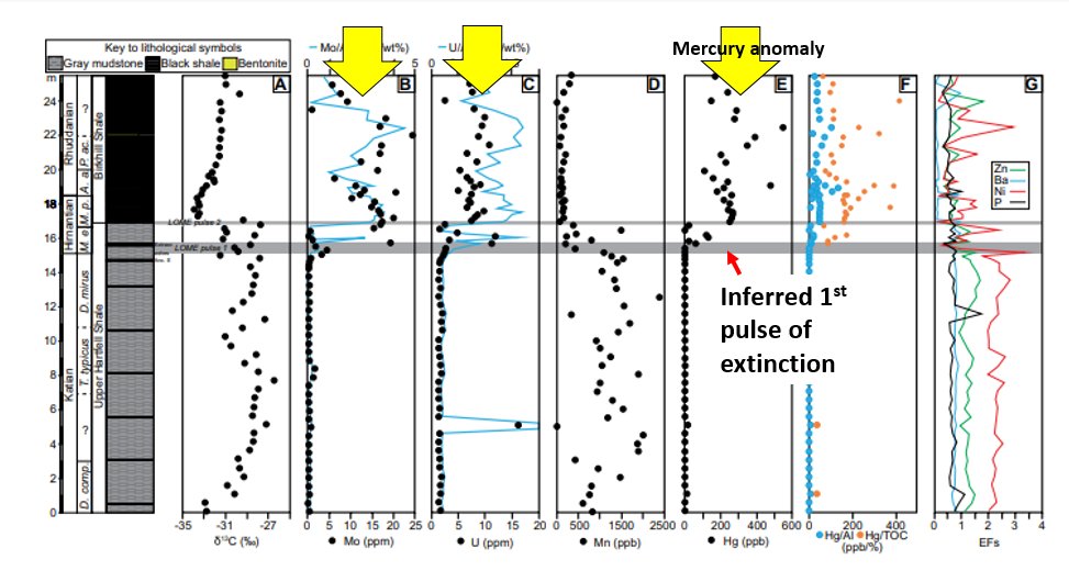 B&G argue for eruption-caused warming as the kill mechanism for the Late Ordovician Mass Extinction (LOME) based on correlation between the extinction and LIP geochem proxies (Hg, U, Mo) at Dob's Linn, Scotland. See yellow and red arrows. Fair enough. They seem to correlate. 2/n