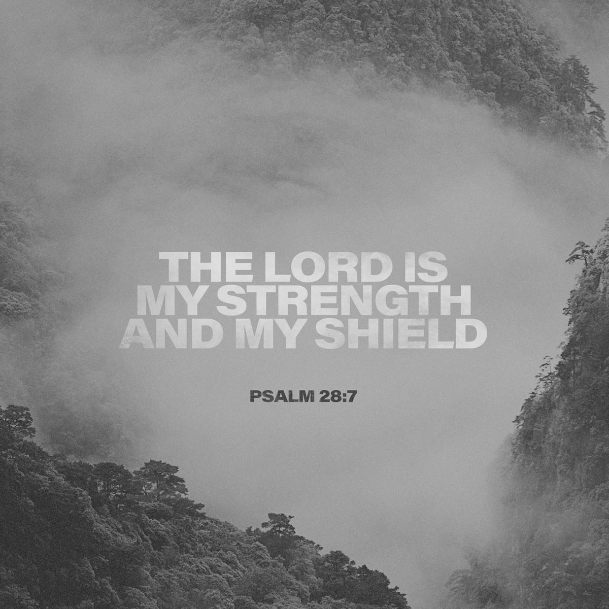 FWCConroe's tweet photo. “The Lord is my strength and my shield” -Psalm 28:7
#verseoftheday #GodsWord #iCommunity #ConroeCoGTribe #ConnectLeadDisciple https://t.co/FgOQ1xSbxf