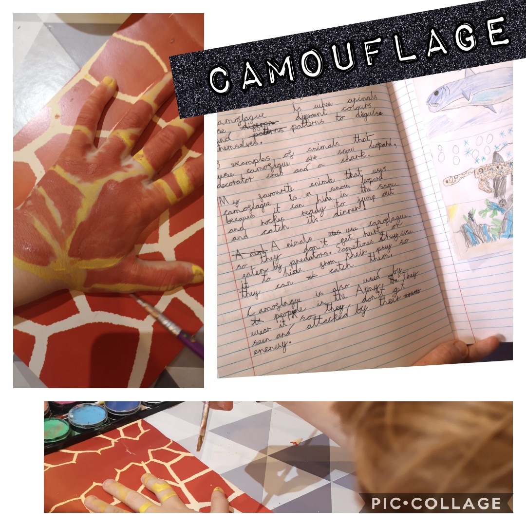Claremamab83's tweet photo. @EGPA_Y2 Noah has been researching how different animals camouflage themselves! He even had a go at camouflaging his own hand!xx 🐆🦒 https://t.co/CC1Jz3CnZg