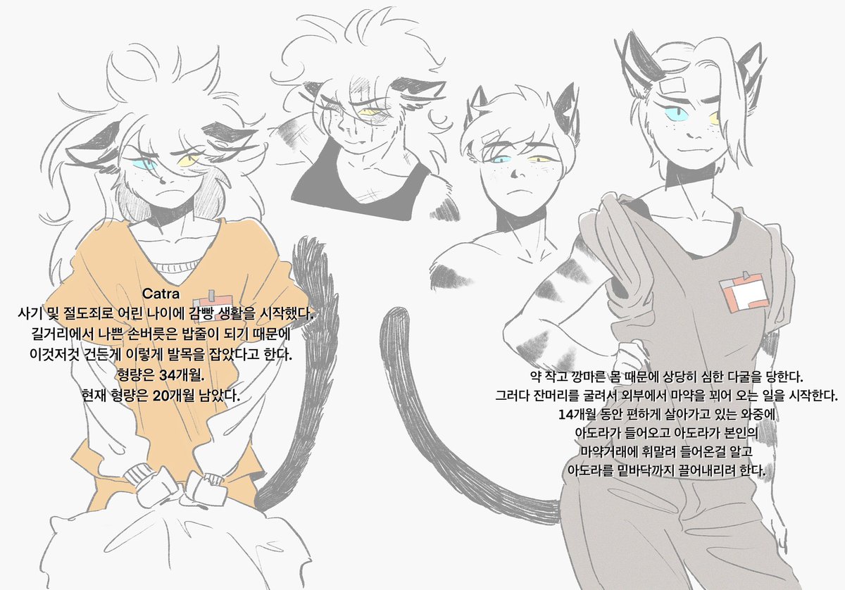 쉬라 오뉴블au
#catradora  #Adora #Catra