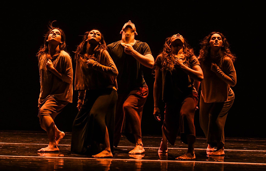 NDI New Mexico tweet media