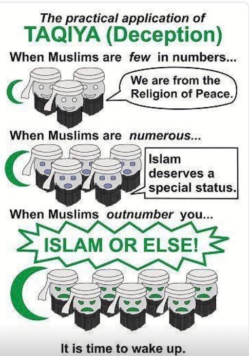 ℝustic🇺🇸城外🇨🇦 tweet media