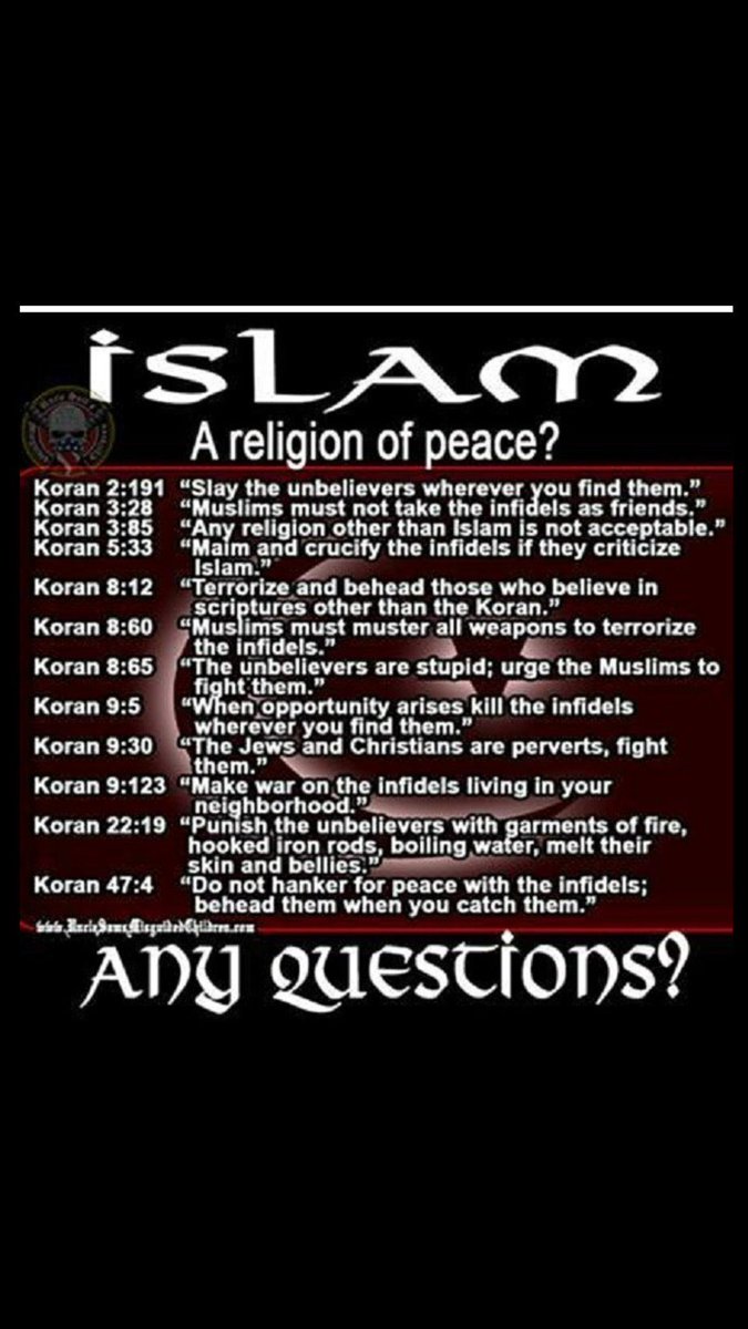 ℝustic🇺🇸城外🇨🇦 tweet media