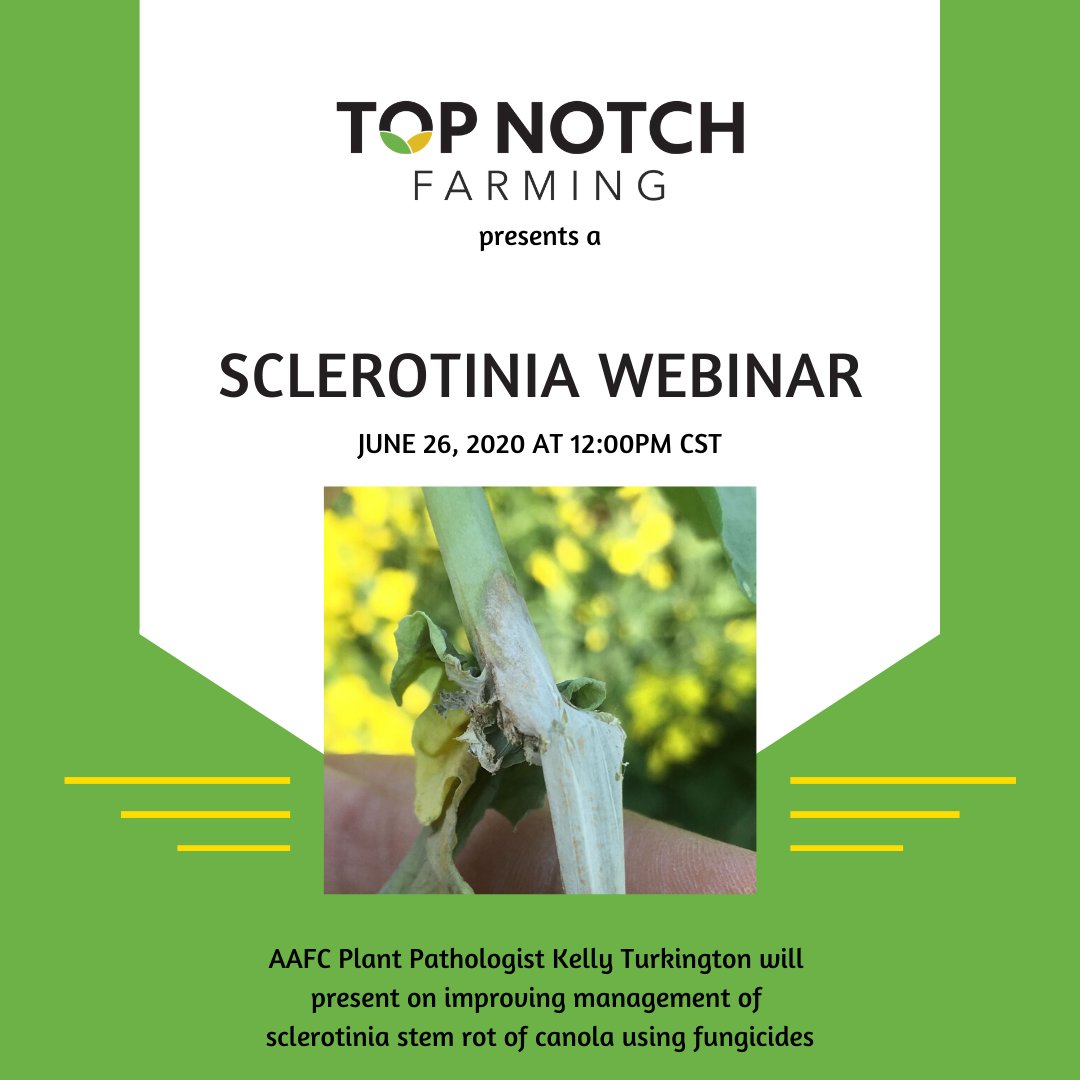 Next Friday, register to join <a href="/AAFC_Canada/">AAFC Canada</a> plant pathologist Kelly Turkington for a webinar as he presents research on fungicide timing for sclerotinia in canola: register.gotowebinar.com/register/86961…

CCA credits are being applied for.

#grow20 #agronomy #WestCdnAg #canola <a href="/SKAgriculture/">Sask Agriculture</a>