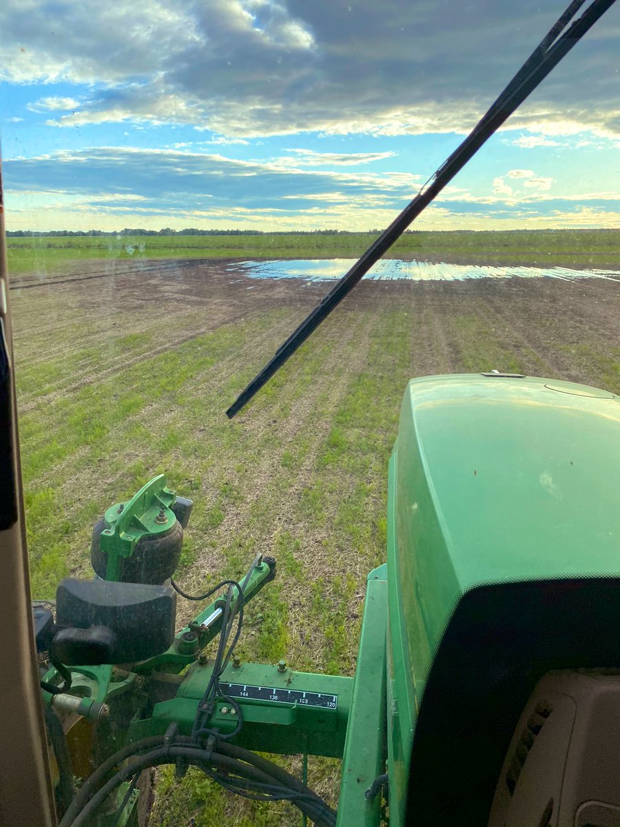 ScradleyHurst's tweet photo. Don’t worry I got it all papa Gordo #Canola #greatlakesoflinaria #2020whatsnext #ABag #flooding2020 #dudewheresmycanola https://t.co/9IbBug2vWY