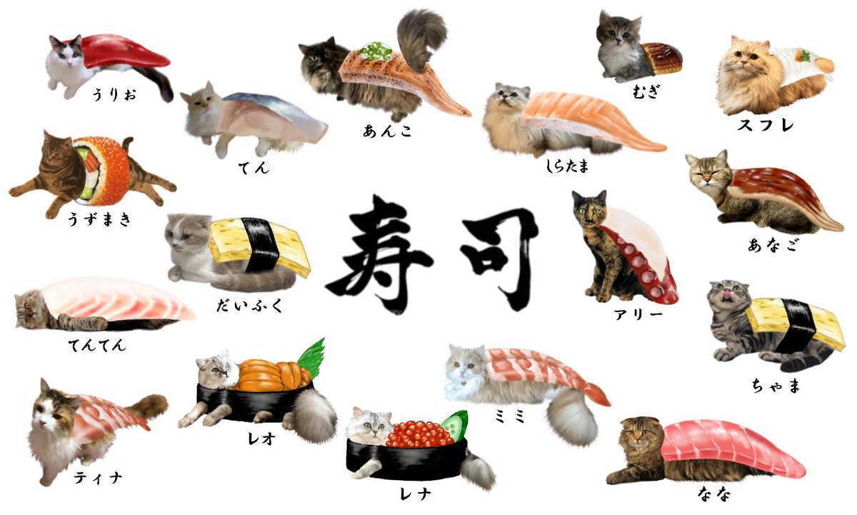 猫寿司