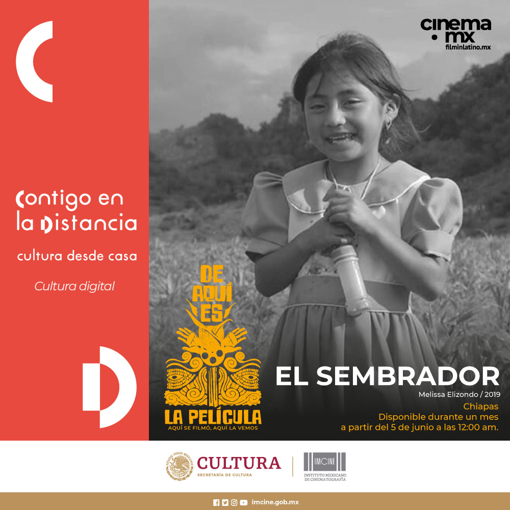 'De aquí es...'  continúa con la exhibición de las películas desde el canal #CinemaMX de @filminlatino y en televisoras locales de las distintas regiones del país 💻📺

Consulta la programación 👇
t.ly/mw74 

#VeamosLoNuestro