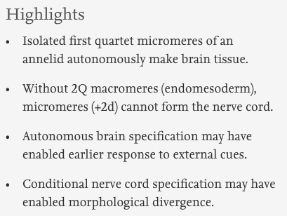 Dev_Bio_Journal's tweet photo. #DBteaser #DBfeatures #DevBio
"Decoupling brain from nerve cord development in the annelid Capitella teleta: Insights into the evolution of nervous systems" by @Allan_littlecar and Néva Meyer (2017).
Read more here -> https://t.co/qeJ4bHdHCY https://t.co/Ae1o8KXdlr