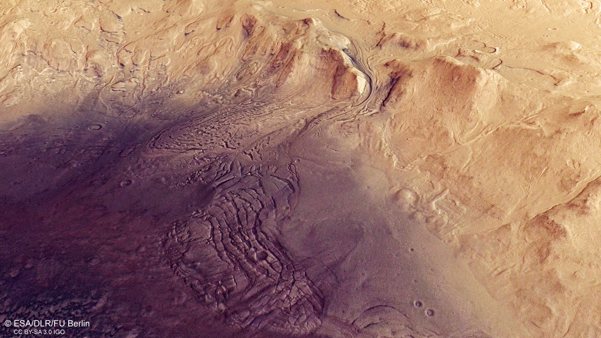 Democracy Mars tweet media