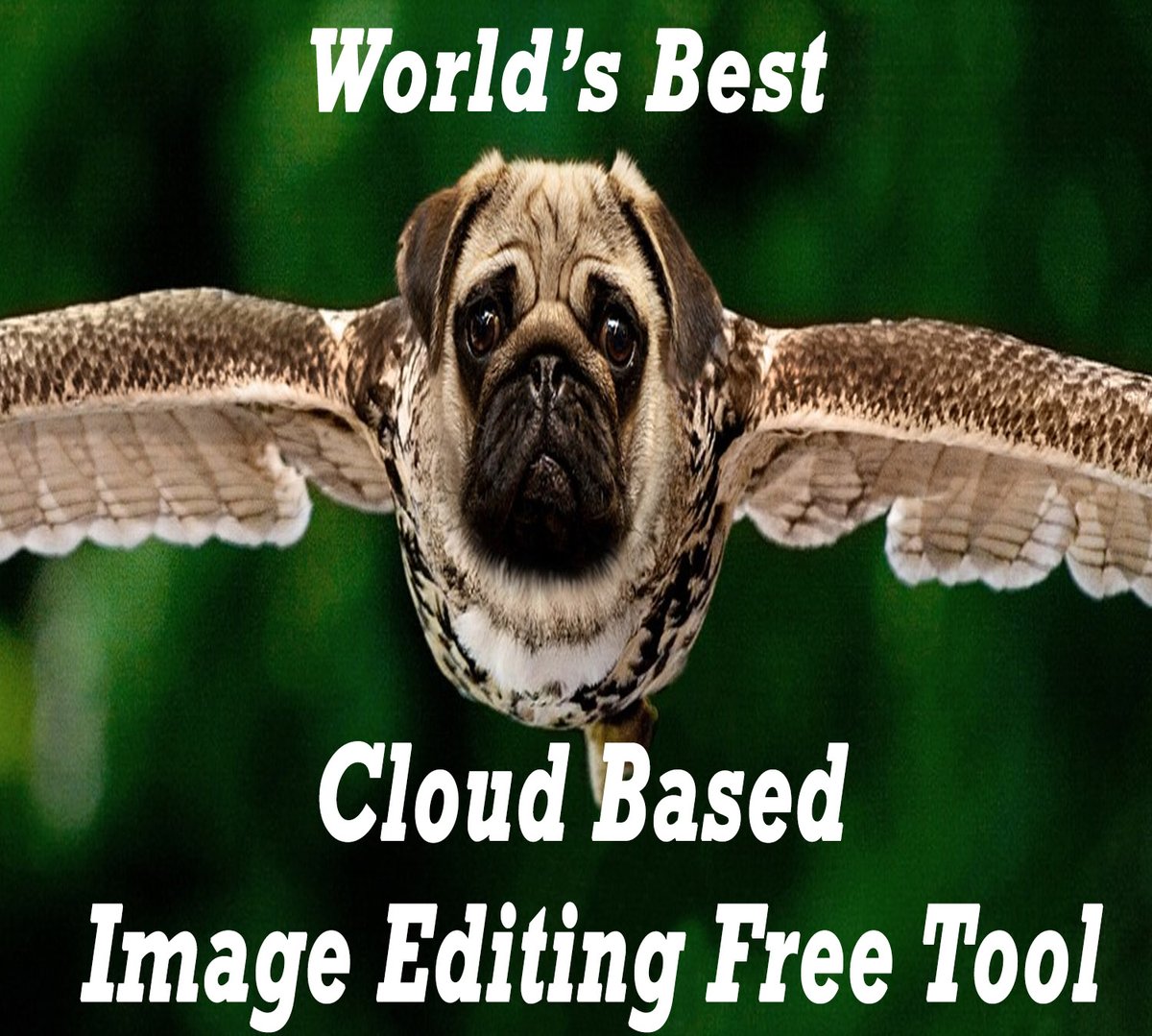 MadhumathiS4's tweet image. World’s Best Cloud-based #ImageEditingTool - Always Free
bit.ly/379HVb5

Easy-to-use #graphicdesigntool for #bloggers, #businessowners, and #socialmediamarketers. Always Free – Get your Free tool 
 #cloudbasedimageediting #imageediting 

#disclosurecommissionearned