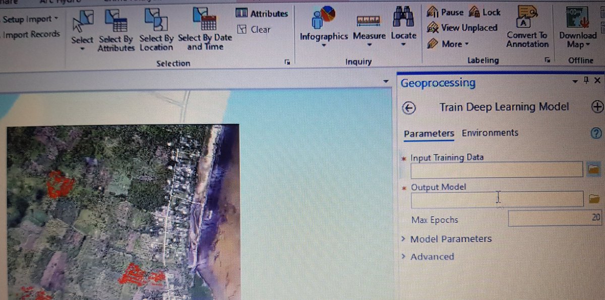 gistec's tweet image. Deep learning example with palm trees using ArcGIS #gistecwebinarseries #DeepLearning