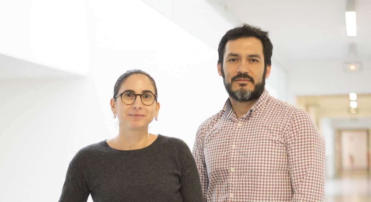 Once an intruder is detected, the dendritic cells signal its presence to other cells in the immune system in order to launch a targeted attack against it. 

To do so, Ménashé&amp;Sepulveda lab show that the intruder has to follow a path through the cell
▶️bit.ly/3dcsSPh