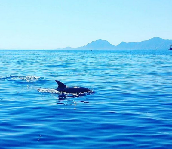 www rencontres enchantees com