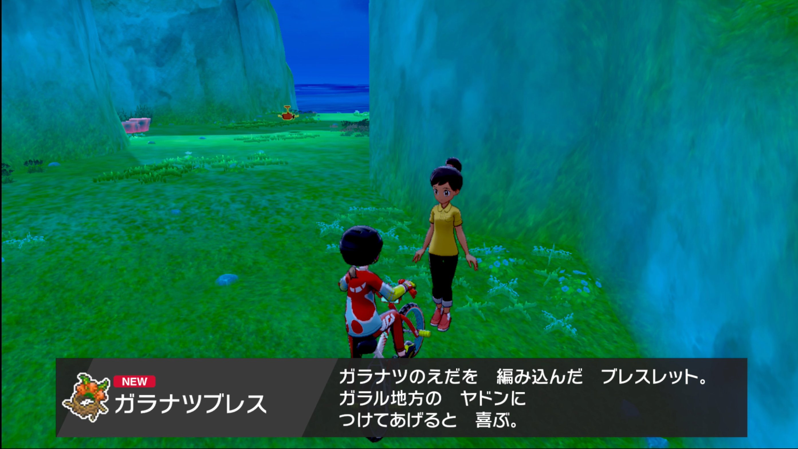 ポケモンゲーム情報 Sifuポケモンsv新作スカーレット バイオレット ガラルヤドンをガラルヤドランに進化させる方法 進化アイテム ガラナツブレス ガラナツブレス入手方法 ガラナツのえだ８本集めて ワークアウトの海 にいる女の人に渡す ヤドン色