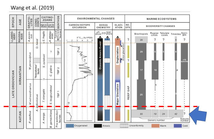 I know don't much about benthic fauna (others can chime in), but this recent review correlates benthic extinctions before B&G's LIP evidence too. 10/n  https://www.sciencedirect.com/science/article/pii/S0012825218305099#f0010