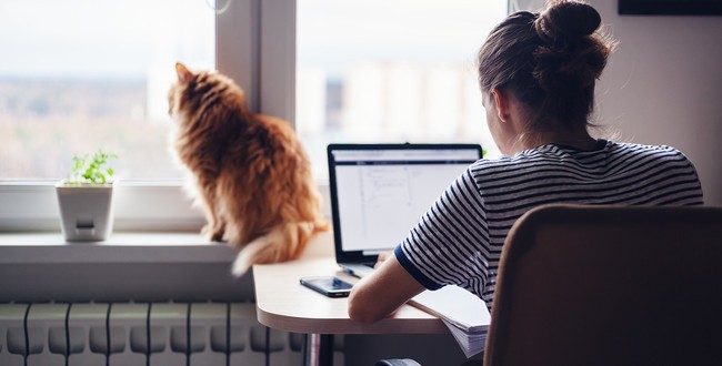 runsh69's tweet image. Was it the #VPN bandwidth limitations or a Citrix #VDI issue causing #RemoteUser screens to freeze? Learn how this leading financial company discovered the root cause using @NETSCOUT&apos;s #nGeniusONE.  bit.ly/3hBJtzo