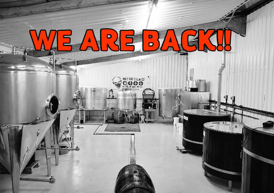 Mad Dog Brewery tweet media