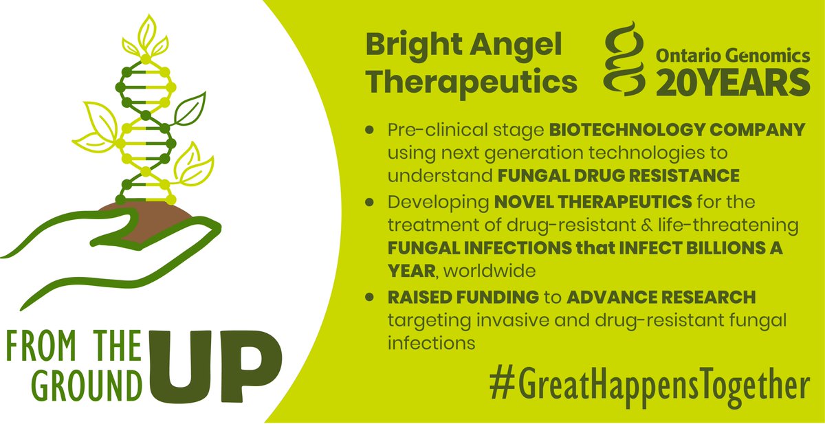 #OntarioGenomicsAdvantage: <a href="/BrightAngelTx/">Bright Angel Therapeutics</a> is “proleafically” using advanced #technologies to find #therapies against drug-resistant #fungal infections. We’re proud to be affiliated with such breakthrough #innovation. <a href="/GenomeCanada/">Genome Canada</a> #GreatHappensTogether