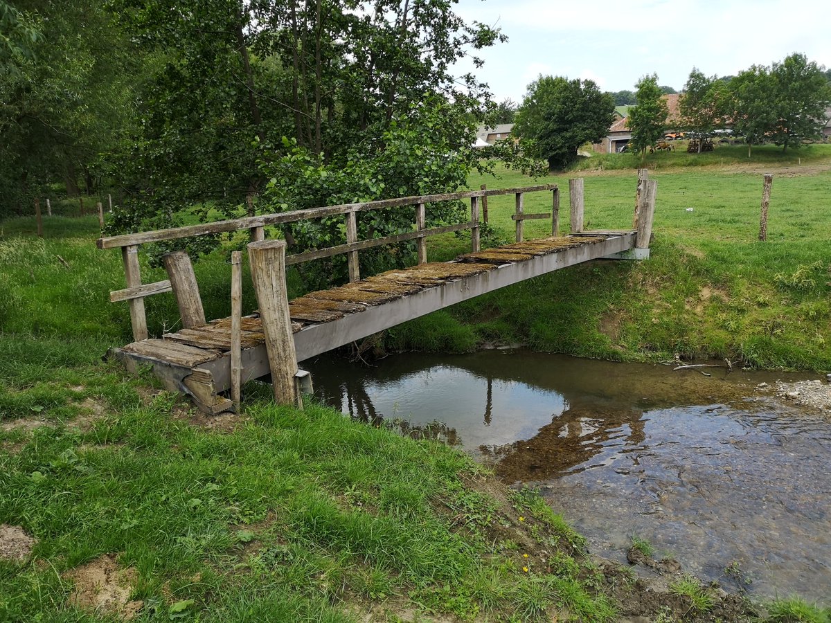 RobSlakhorst's tweet photo. Prachtige Groene Wissels nr 332 wandeling van 14 km vanuit Romantic Hotel ''Het Gulpdal''  #Slenaken door het #Gulpdal via #Beutenaken en #Billinghuizen en aan het eind bij #UitspanningSAMEN ff uitrusten met een drankje en een overheerlijk broodje. https://t.co/0XiKIaXrDx