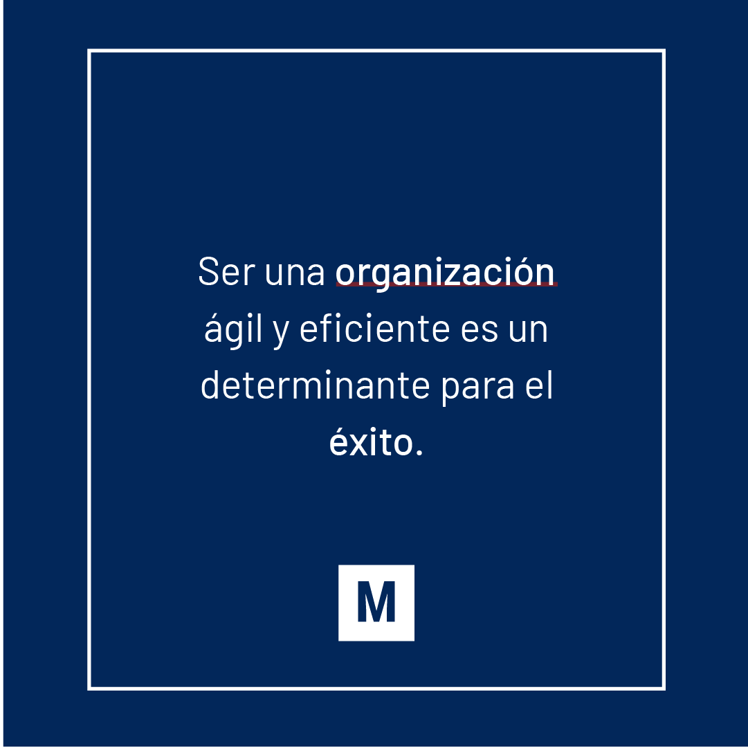 Marble Headhunter tweet media