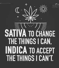 thcmed's tweet photo. 😀#TrichomeHealthConsultants #MediblesInc #smokeloud #weedart #maryjaneinthebrain #marijuanagram #weedpic #weedindeed #cannabiscures #maryjanemania #420life #functionalstoner #weedstagram #weedworld #weedstagram420 https://t.co/gwKkBIIp7w