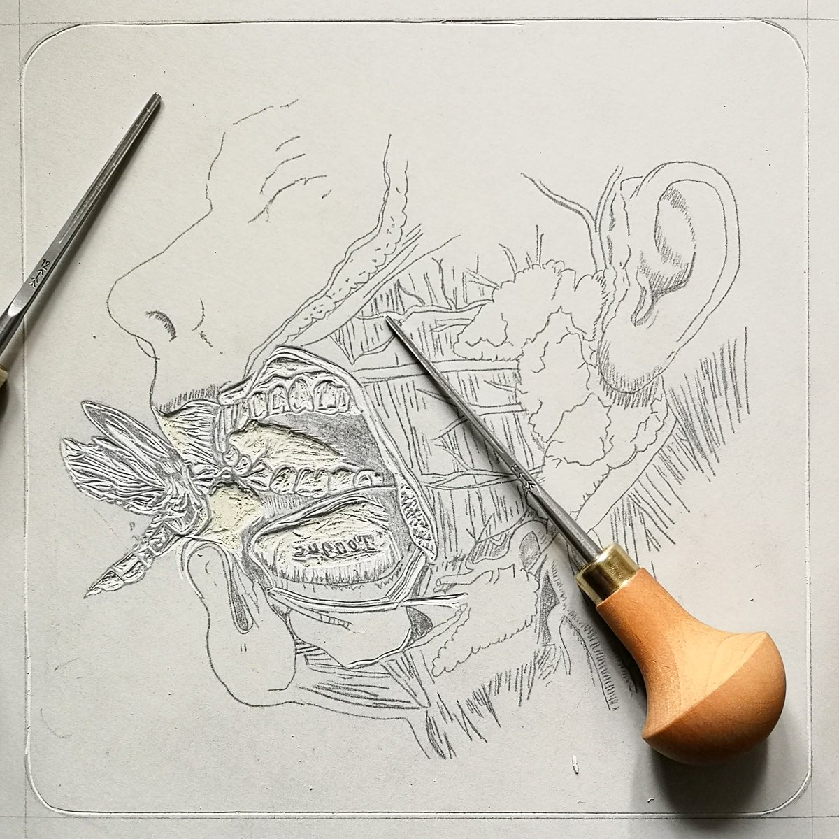 theinsectarium's tweet image. I have been under the illusion that lino cutting was unsuitable for my work due to the precision I am looking for. However since discovering the Pfeil 11/0.5 tool I have enjoyed turning fine line drawings into lino cuts. I will say that the tongue was hard. #linocut #pfeiltools