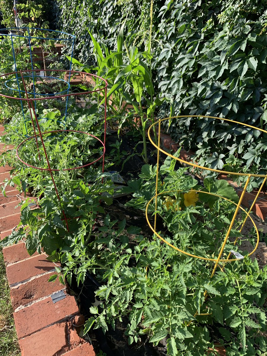 Oklahoma DEQ tweet media