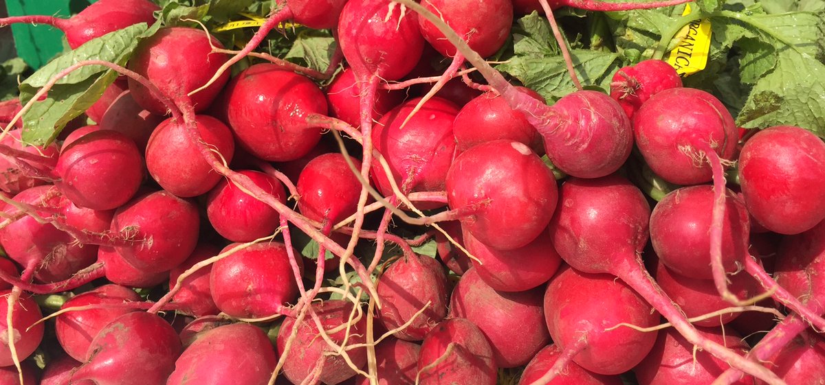 edgebrookshops's tweet photo. Farm fresh everything....until 1:00pm today at Edgebrook Farmer's Market! https://t.co/tPidCfFAvH