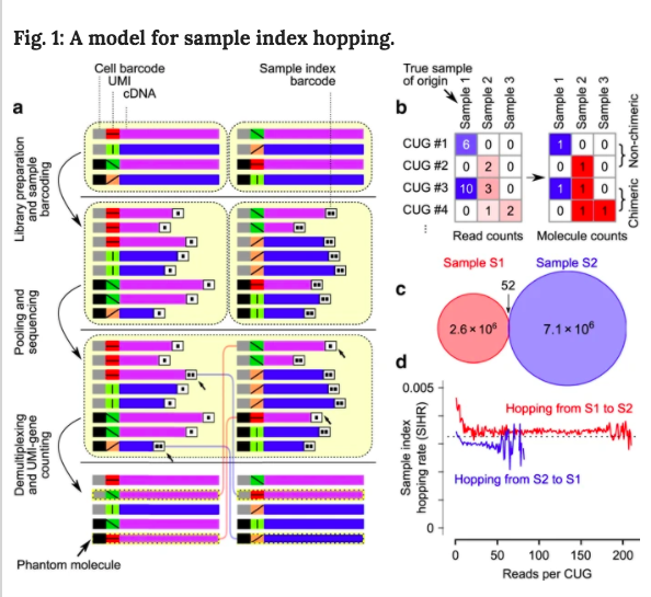 1CellBio's tweet photo. Great article about sample index hopping. Give it a read to learn about what can give rise to phantom molecules!
👻👻 👻
@hsnajafabadi Lab @mcgillu #SingleCell #sequencing  
https://t.co/4KdMDIQczP https://t.co/mVHFMeqkW6