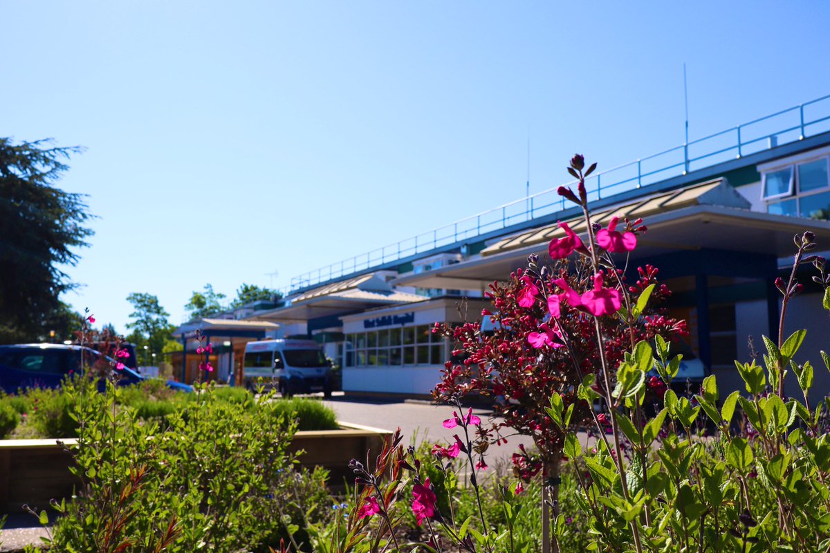 West Suffolk NHS FT 🏳️‍🌈 tweet media