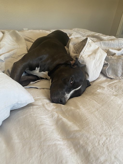 some pics of me and the ham lady https://t.co/bCxiYSPoN5<a href="/tag/newprofilepic"class="tags"><span>#newprofilepic</span></a>