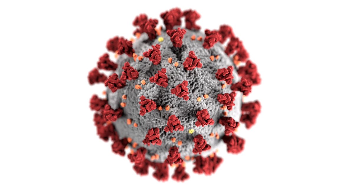 For up to date information about #HepatitisB, especially with regard to the impact of the #COVID19 pandemic on treatment plans, patient consultations and expected outcomes, visit my website: bit.ly/3dBoL08
#hepatology