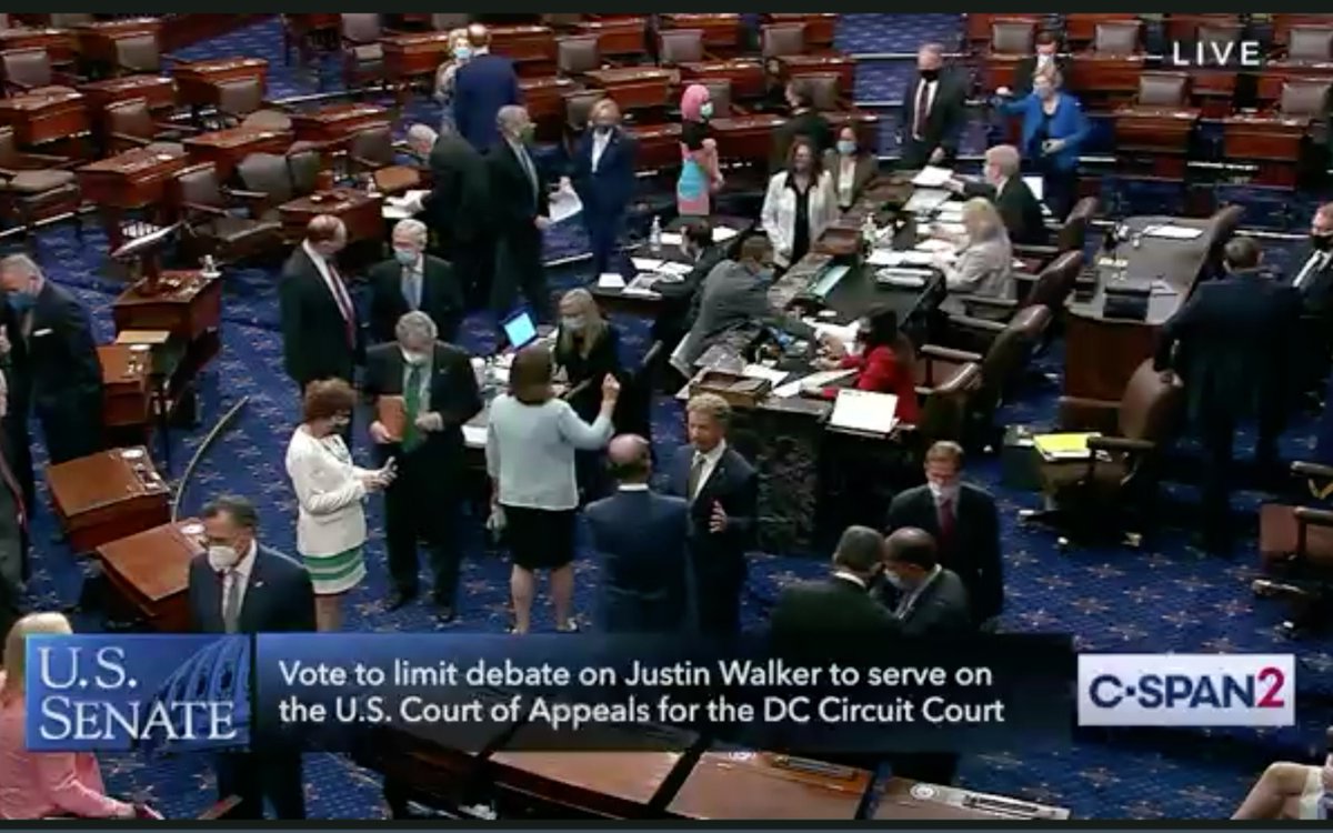Steven Dennis On Twitter U S Senate Voting I Think The Woman With The Pink Hair Is Kyrsten Sinema Only One I Can See Not Wearing A Mask Is Rand Paul Who Already