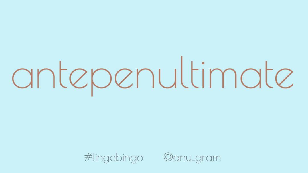 Being third from the end/final is termed 'Antepenultimate'If you have 3 aunts the youngest is auntypenultimate  #sorrynotsorry  #lingobingo