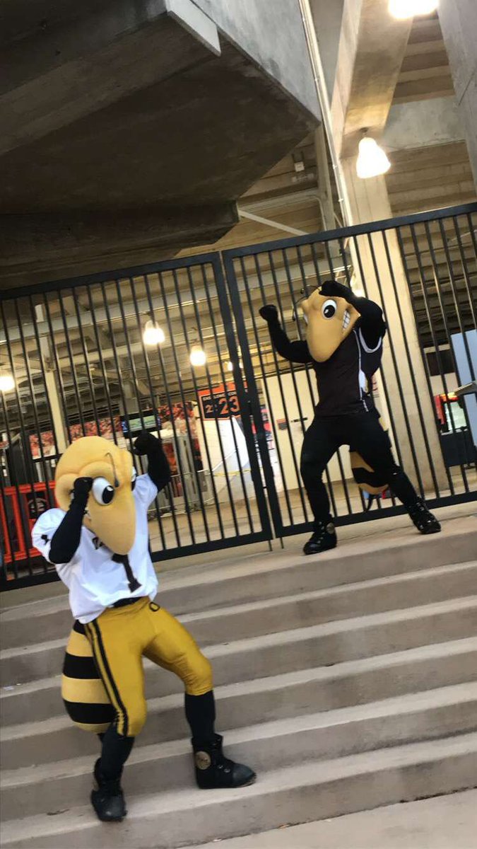 Jack The Yellow Jacket tweet media