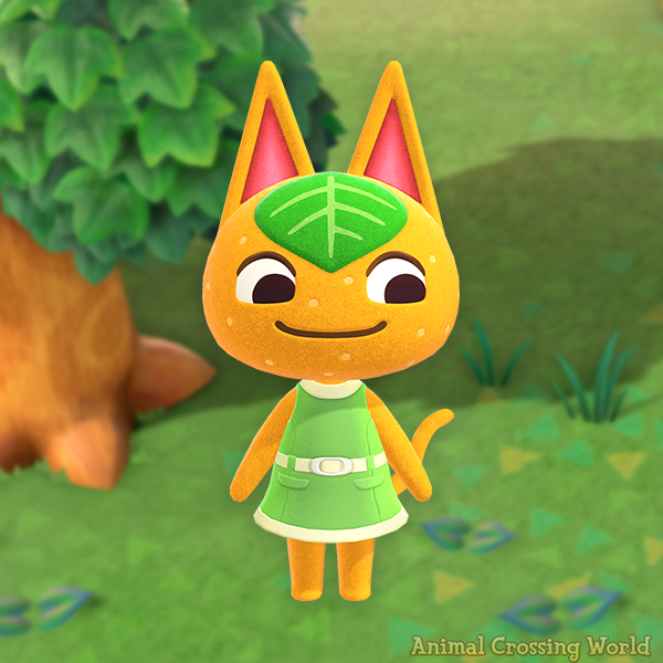 Animal Crossing World 🐦☕ on Twitter: Animal Crossing World 🐦☕ on Twitter: