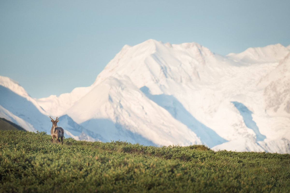 The Wilderness Society 🌳 tweet media