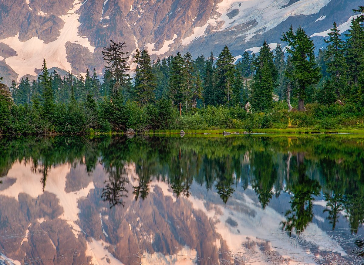 The Wilderness Society 🌳 tweet media