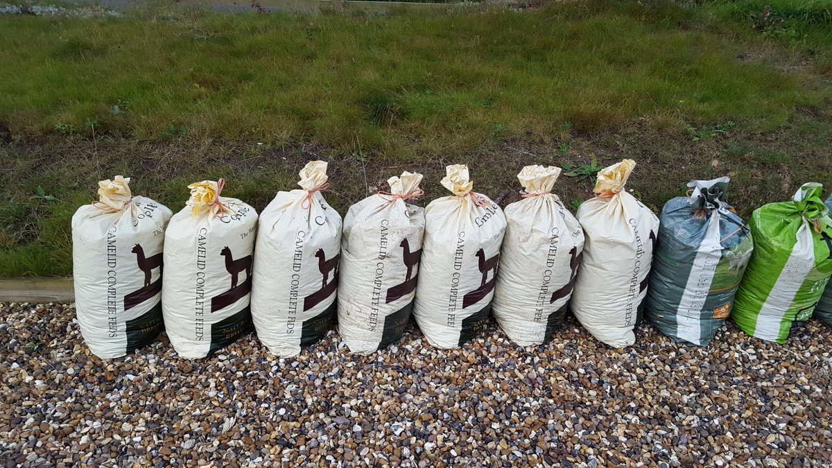 YewTreeAlpacas's tweet photo. Calling all gardeners! Why not treat your garden to some of our alpaca manure? It's pure gold for growers, it can go straight on the beds and doesn't burn, it is great for mulching and retaining moisture. Our bags are £3.50 each, pick up from Yew Tree Cottage, Anstey SG9 0DA. https://t.co/Q8bpgDiKiv