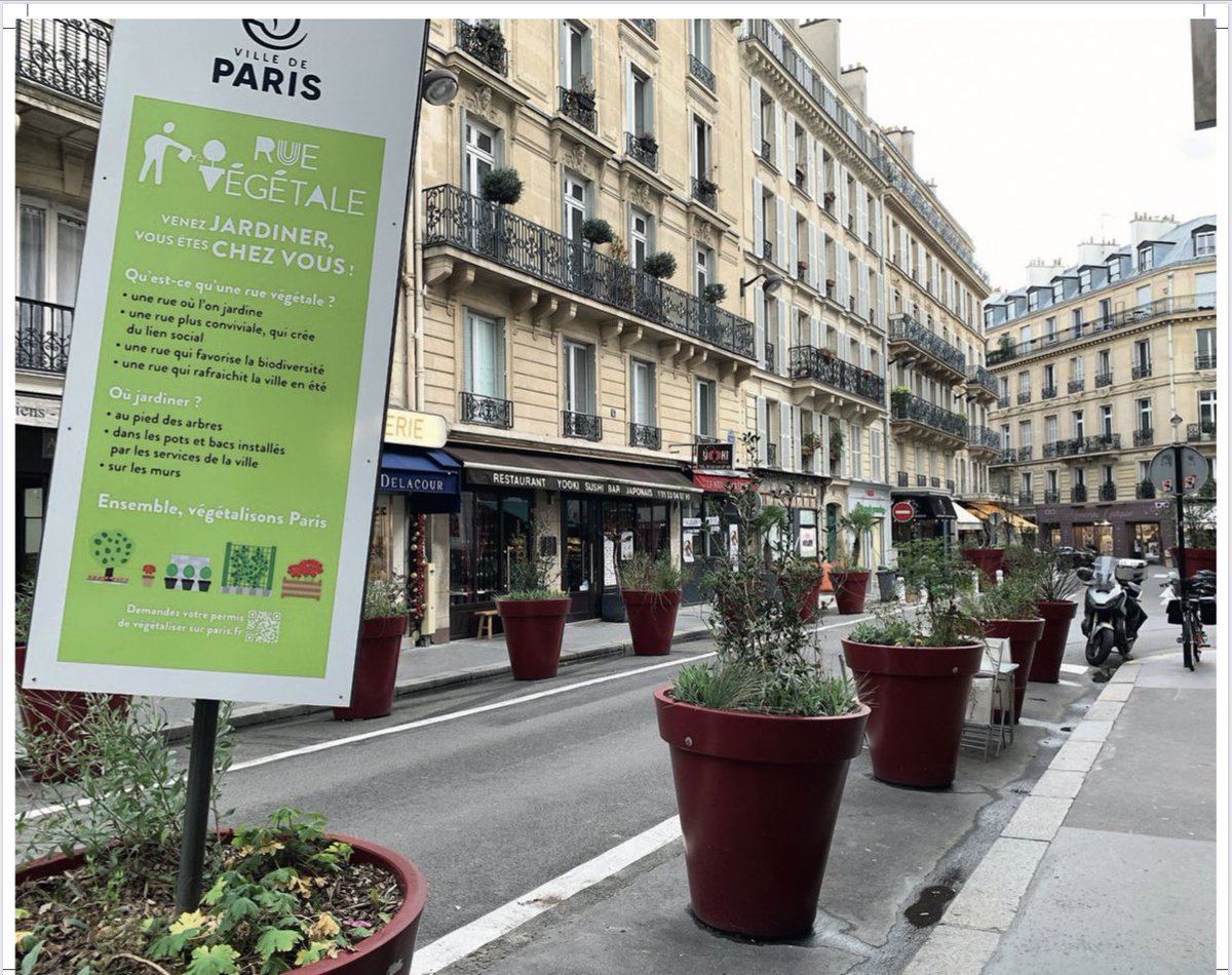 « Voilà le #Paris végétal d’@Anne_Hidalgo ! Du béton , et des pots de fleurs.» ce n’est pas comme cela que nous pouvons lutter contre le réchauffement climatique. @agnesbuzyn #Municipales2020  #ParisLeGrandDebat